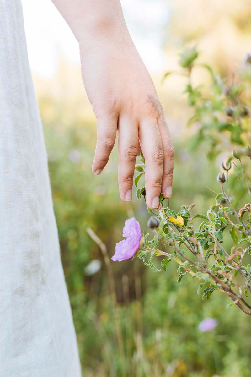 Hand gliding through flowers