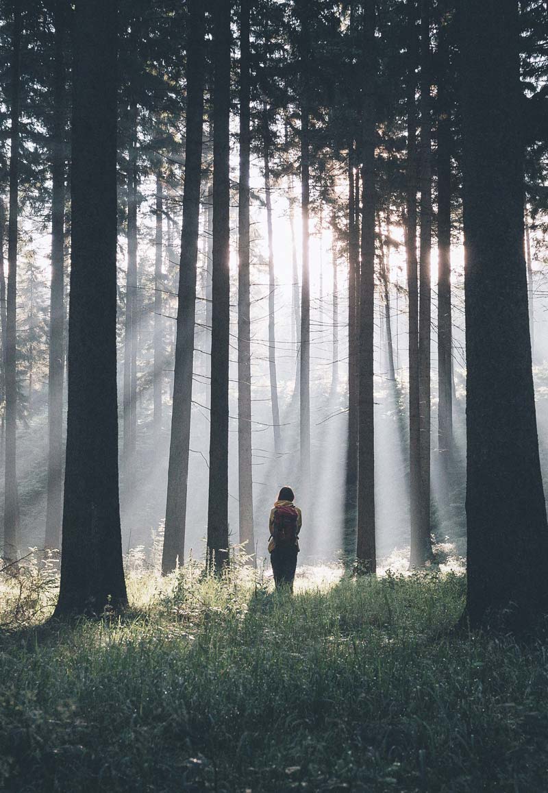 Woman standing amidst trees in a forest